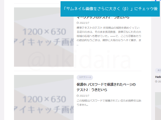 サムネイルをさらに大きくしたイメージ画像